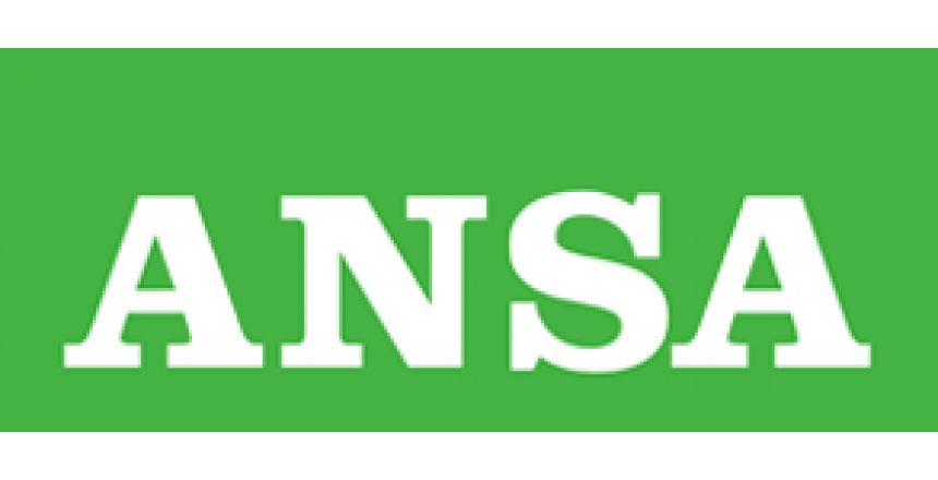 ansa logo 5